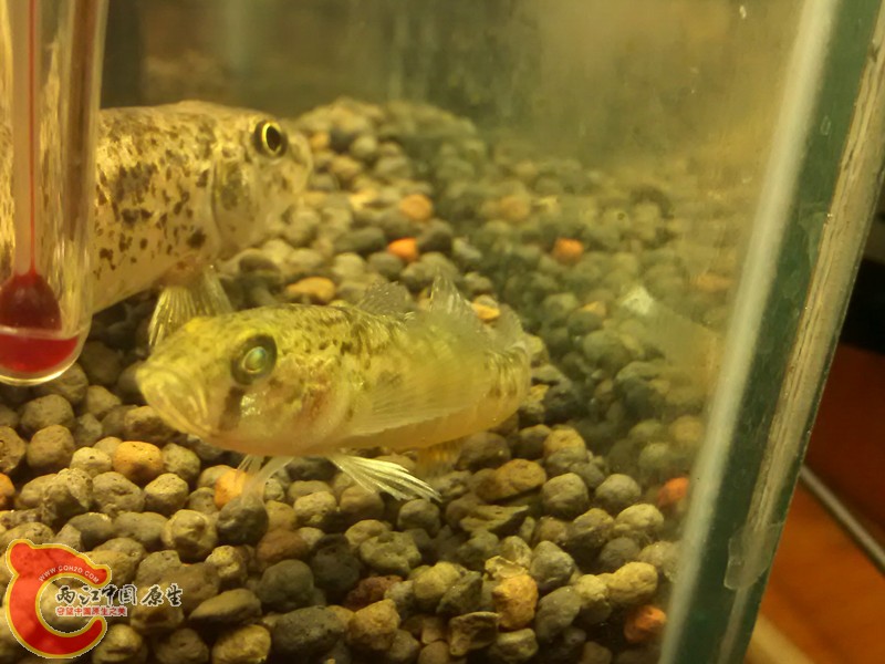 IMG_20130306_210746_副本.jpg