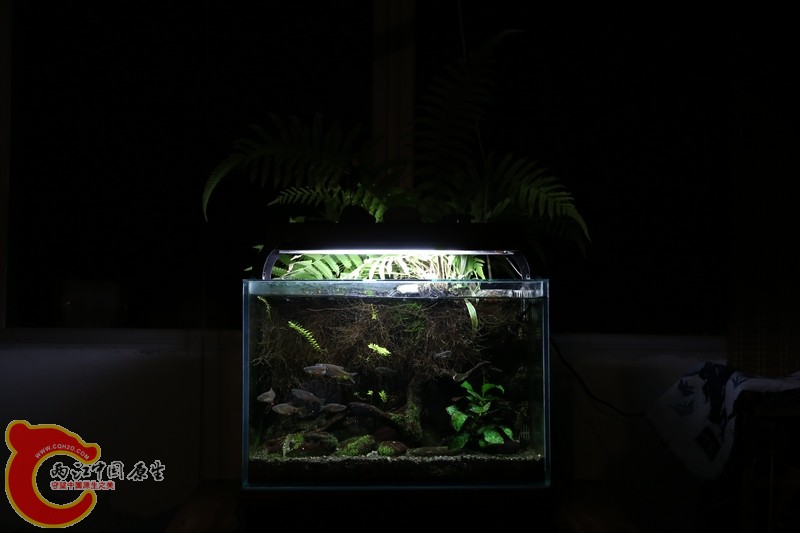 20130306b.jpg