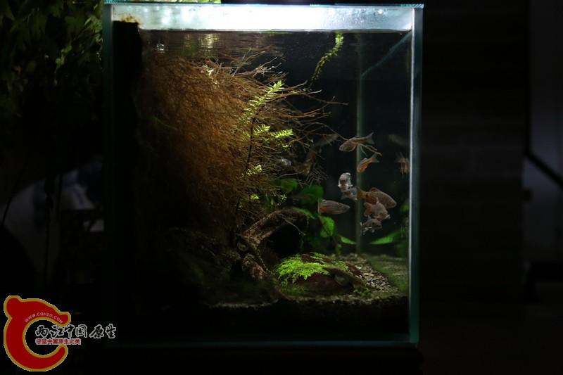 20130306d.jpg