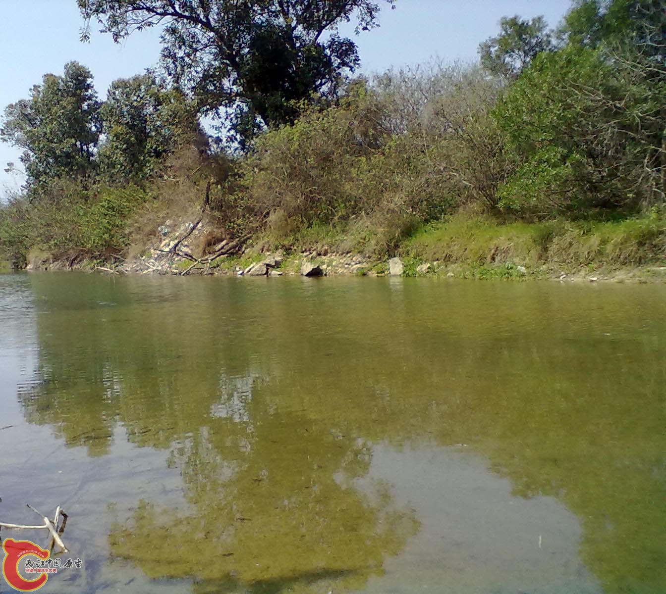 20130310453.jpg
