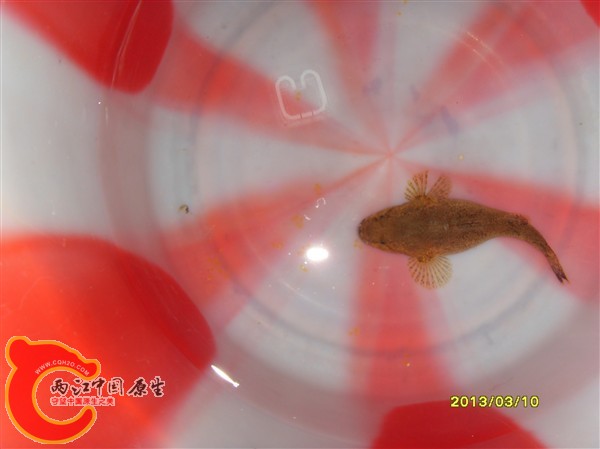 SDC10017_副本.jpg