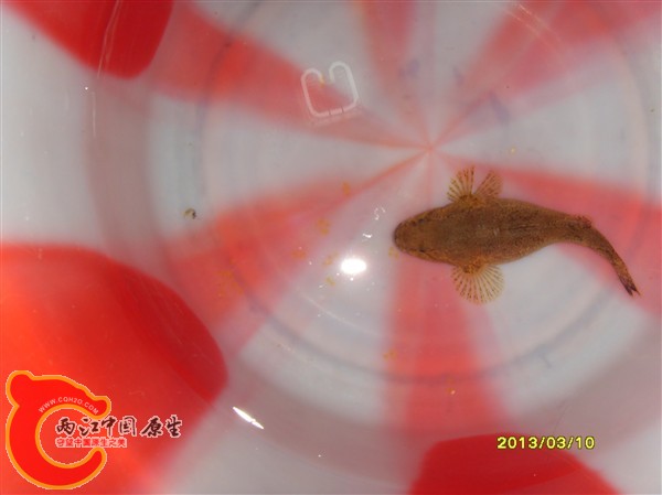 SDC10018_副本.jpg