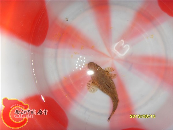 SDC10019_副本.jpg