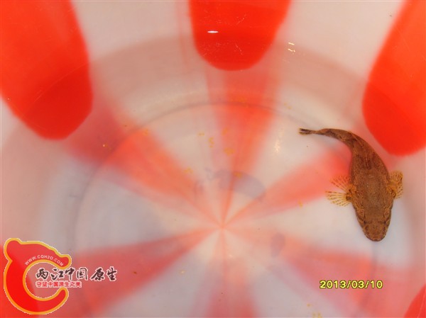 SDC10002_副本.jpg