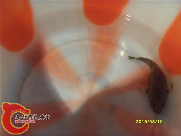 SDC10004_副本.jpg