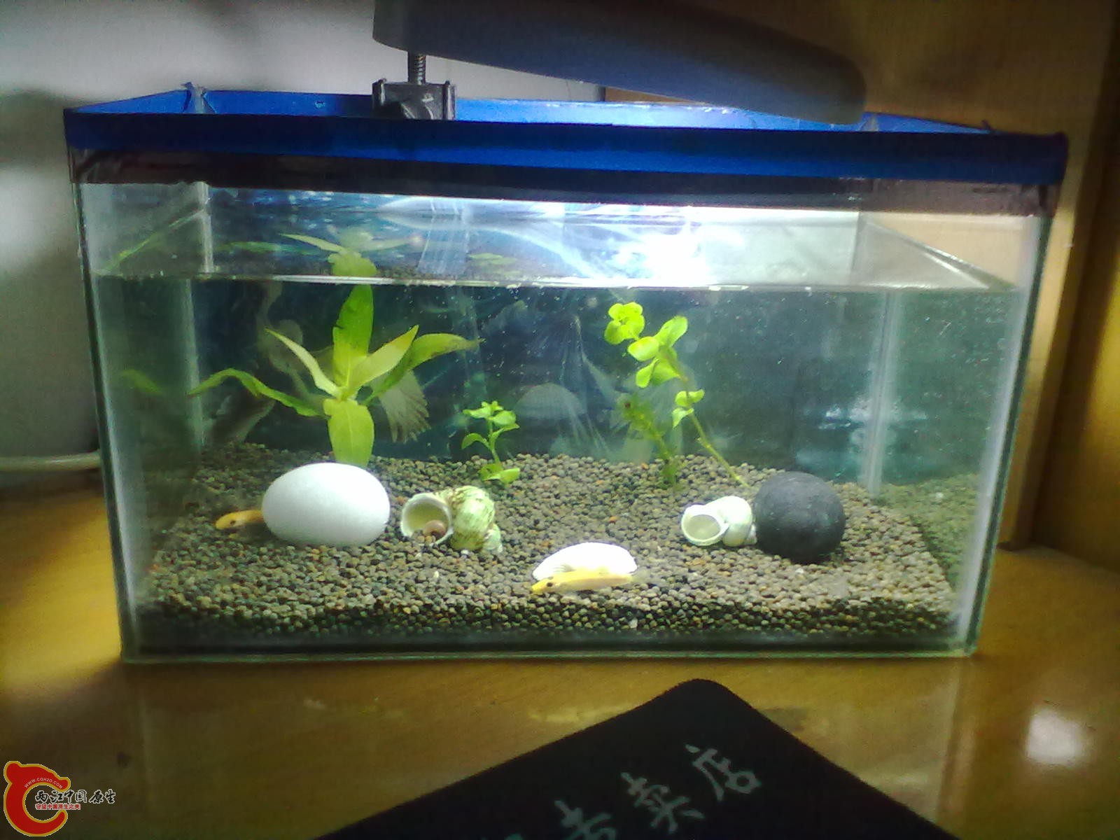201303132154.jpg
