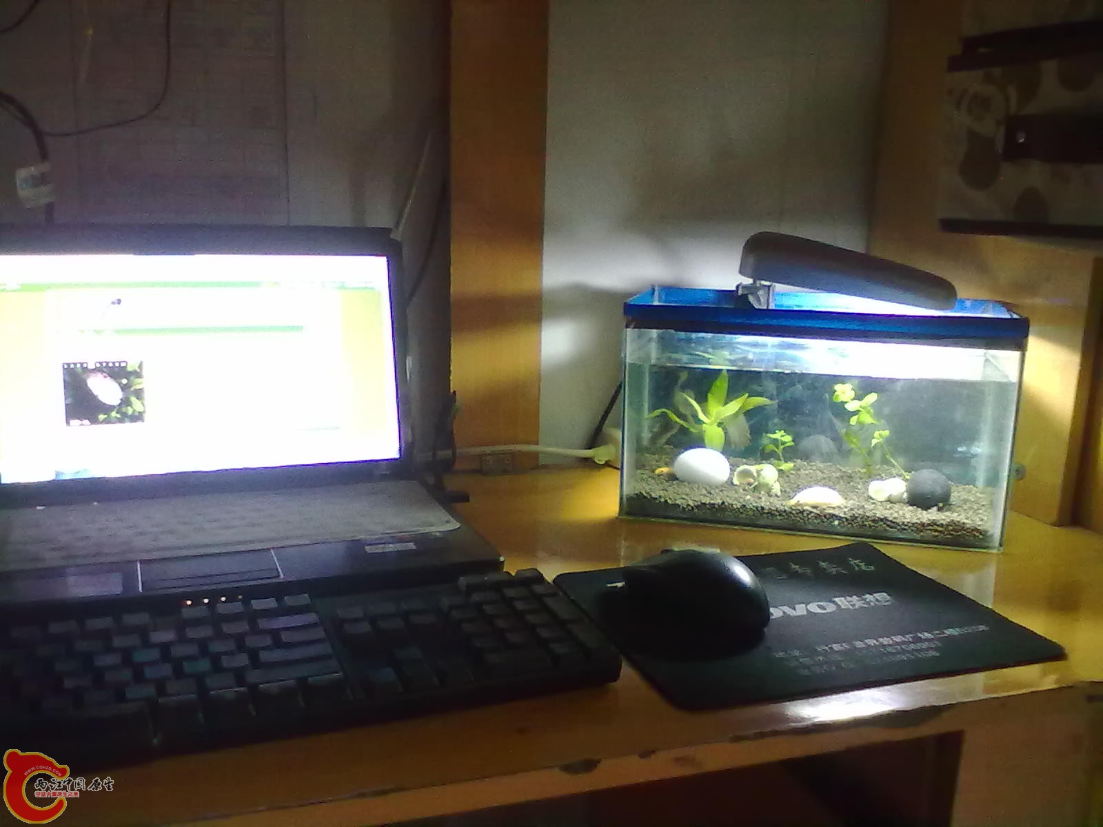 201303132155.jpg