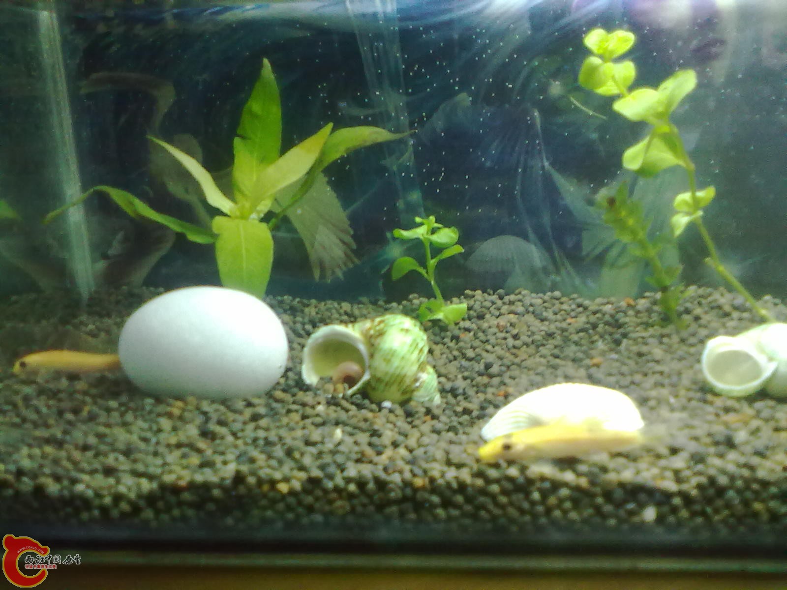 201303132156.jpg