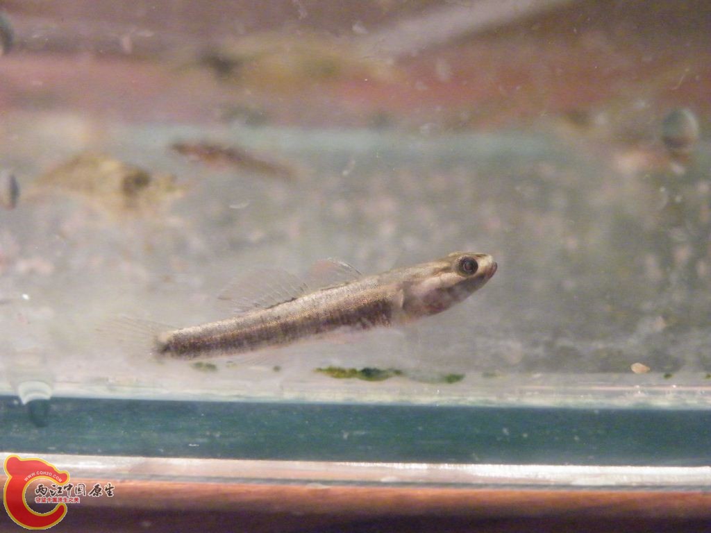 DSCF9633.JPG