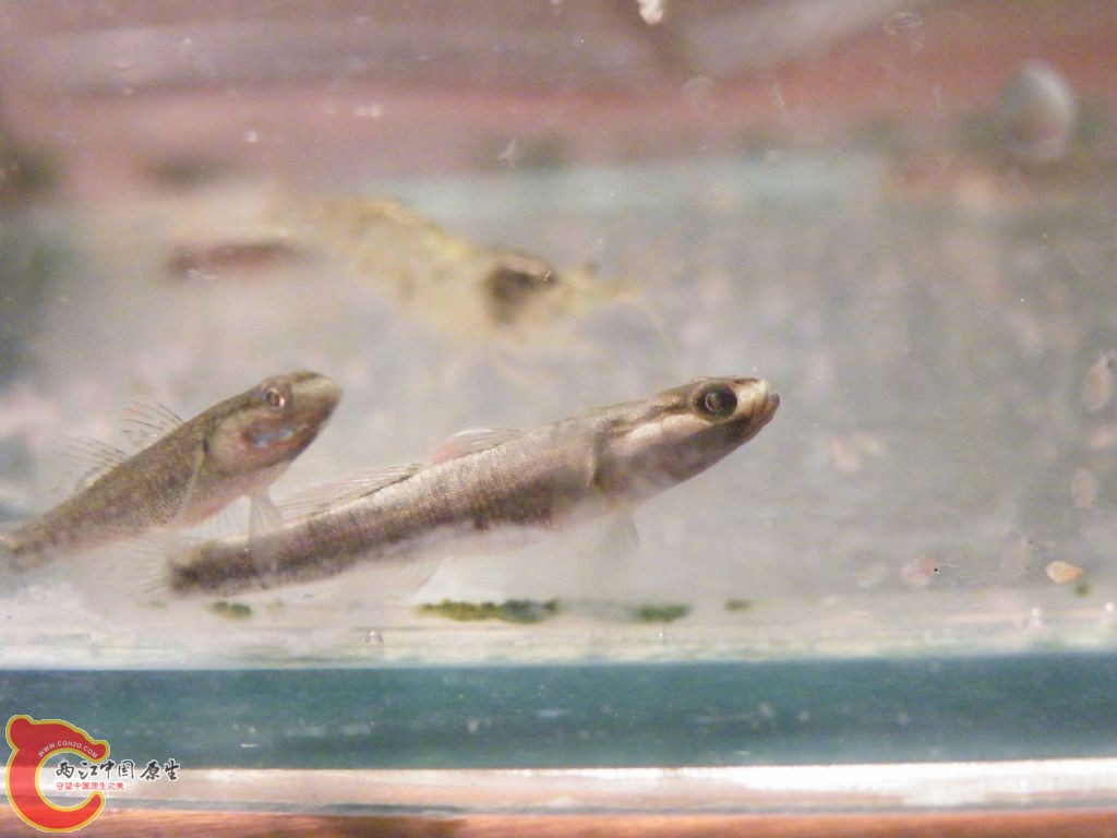 DSCF9637.JPG
