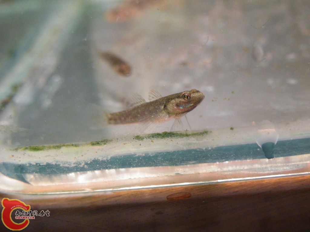 DSCF9642.JPG