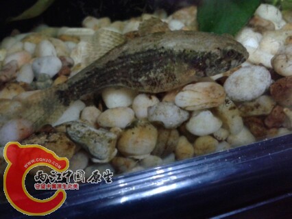 IMG20130317153456.jpg