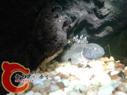 IMG20130317153549.jpg