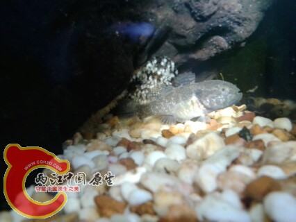 IMG20130317153606.jpg