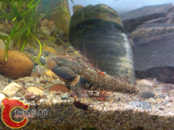 IMG_20130318_134343_副本.jpg