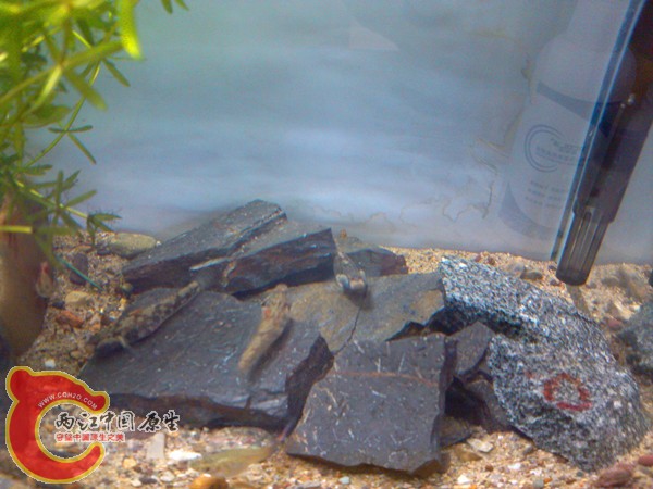 IMG_20130318_134329_副本.jpg