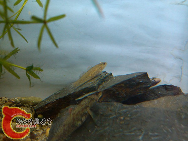 IMG_20130318_134220_副本.jpg
