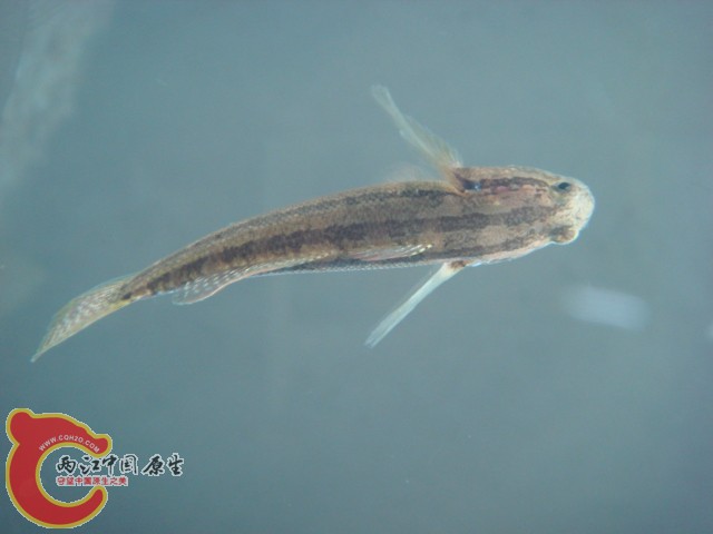 DSC04152.JPG