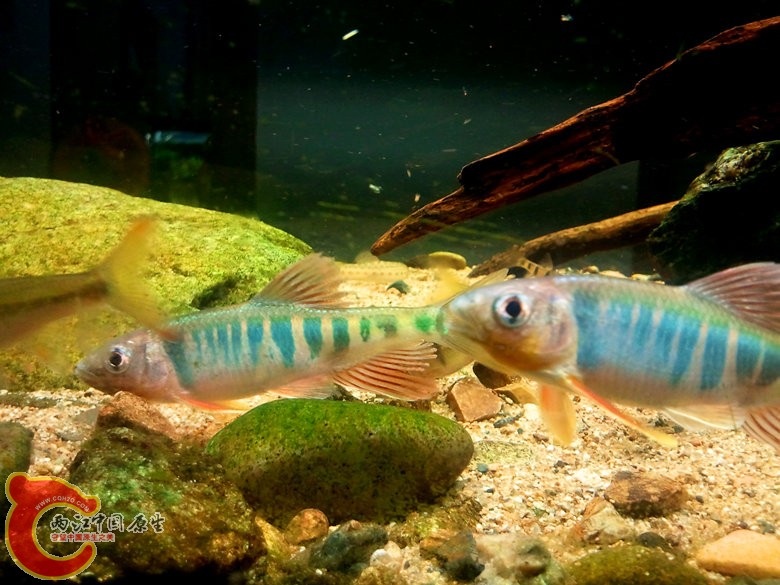 C360_2012-04-10 20-41-19_副本.jpg