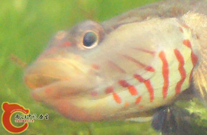 01.jpg