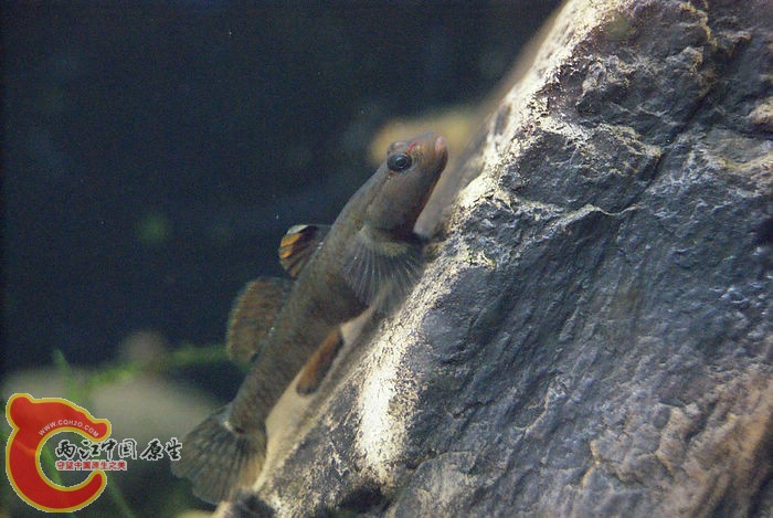05.jpg