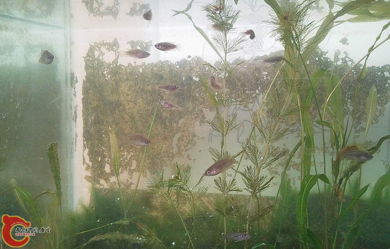 照片3741.jpg