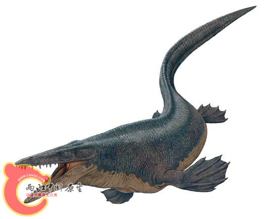 海王龙tylosaurus.jpg