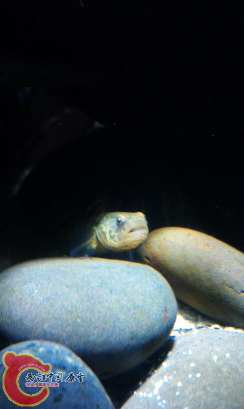 IMAG0699.jpg
