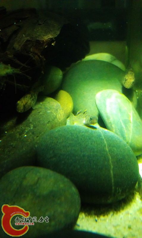 IMAG0701.jpg