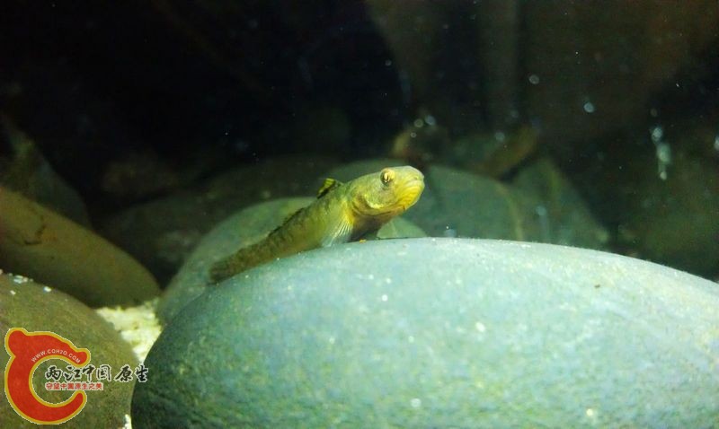 IMAG0703.jpg