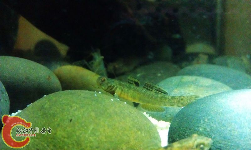 IMAG0705.jpg