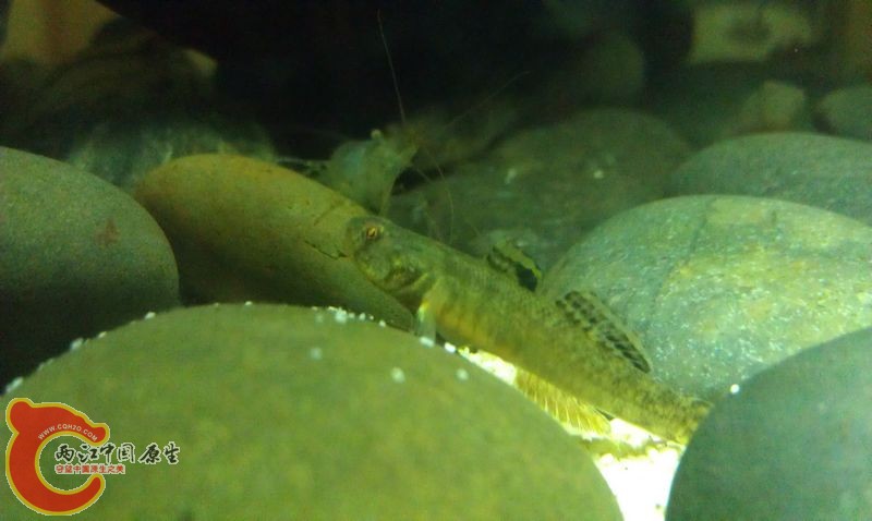 IMAG0706.jpg