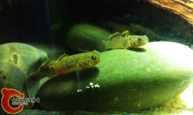 IMAG0707.jpg