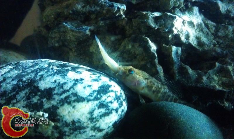 IMAG0710.jpg