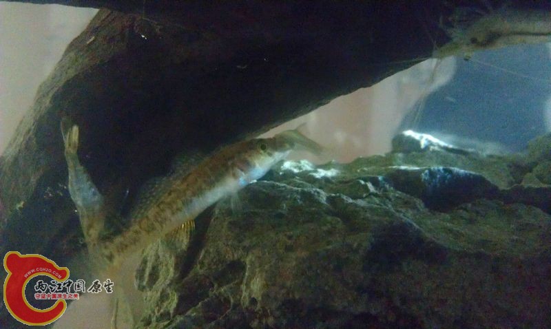 IMAG0712.jpg