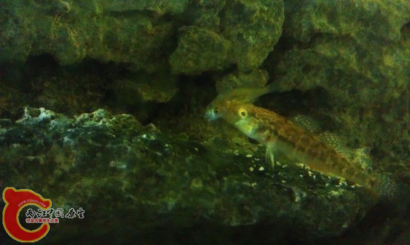 IMAG0720.jpg