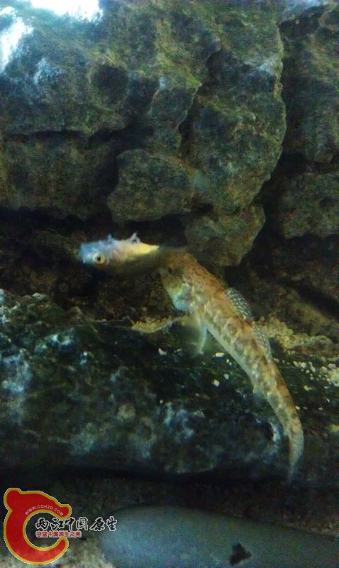 IMAG0730.jpg