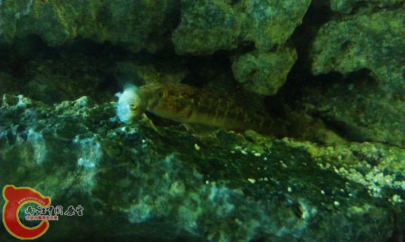 IMAG0747.jpg