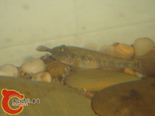 DSC05927.JPG