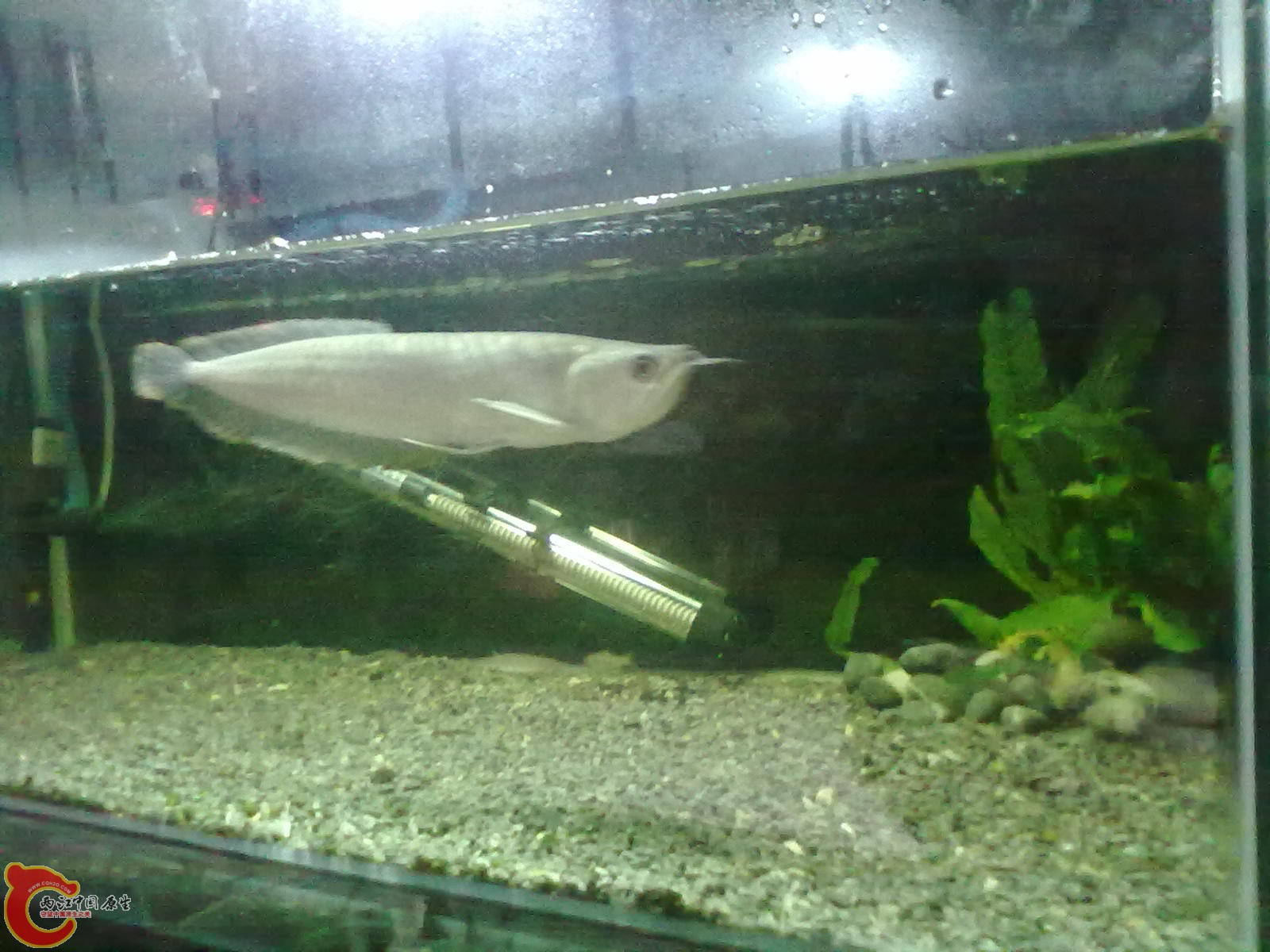 20130322467.jpg