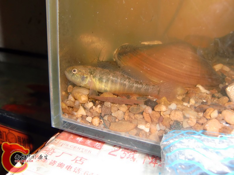 CIMG5984_副本.jpg