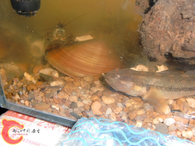 CIMG5959_副本.jpg