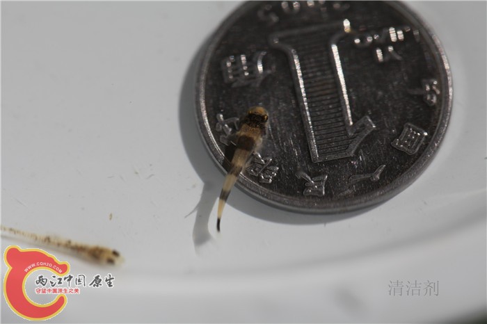 照片 605.jpg