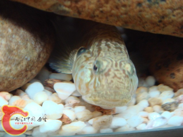 未命名1.jpg