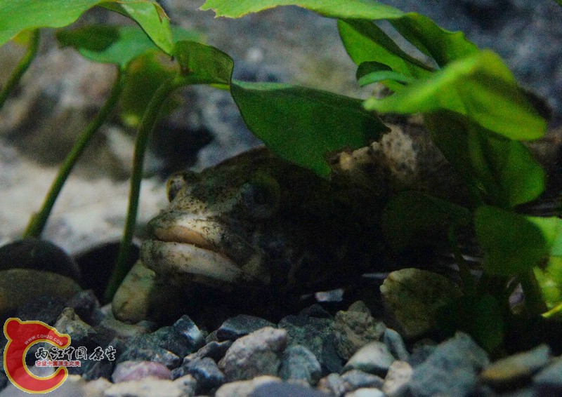 DSC08053.jpg