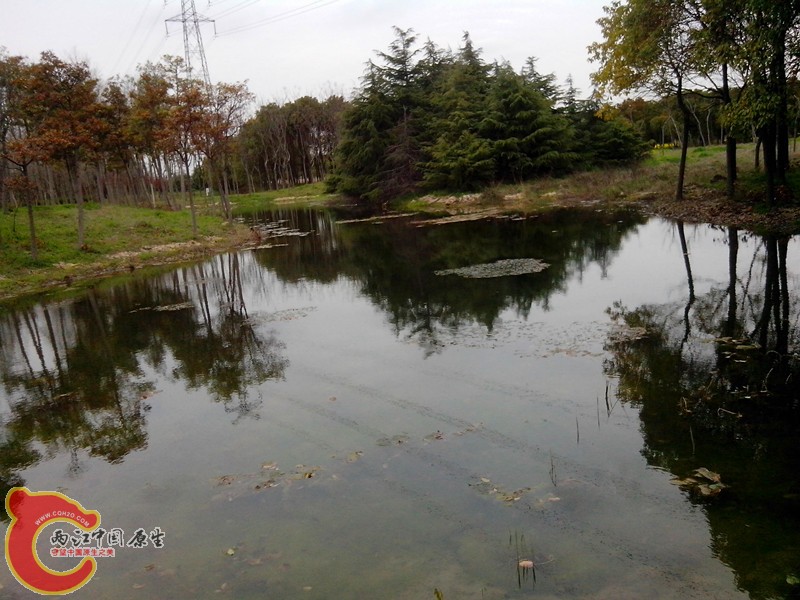 IMG_20130326_132737_副本.jpg