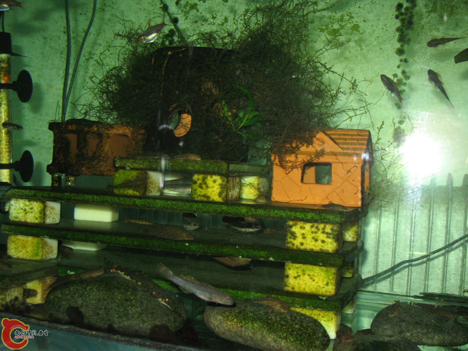 IMG_9427.JPG