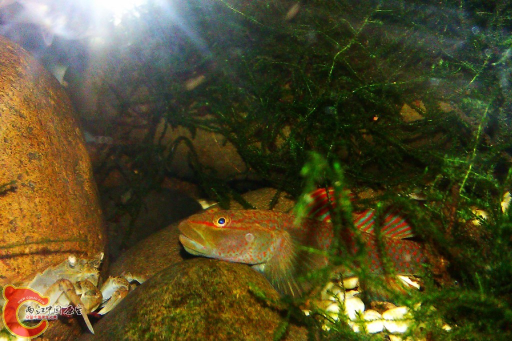conew_imag0059.jpg