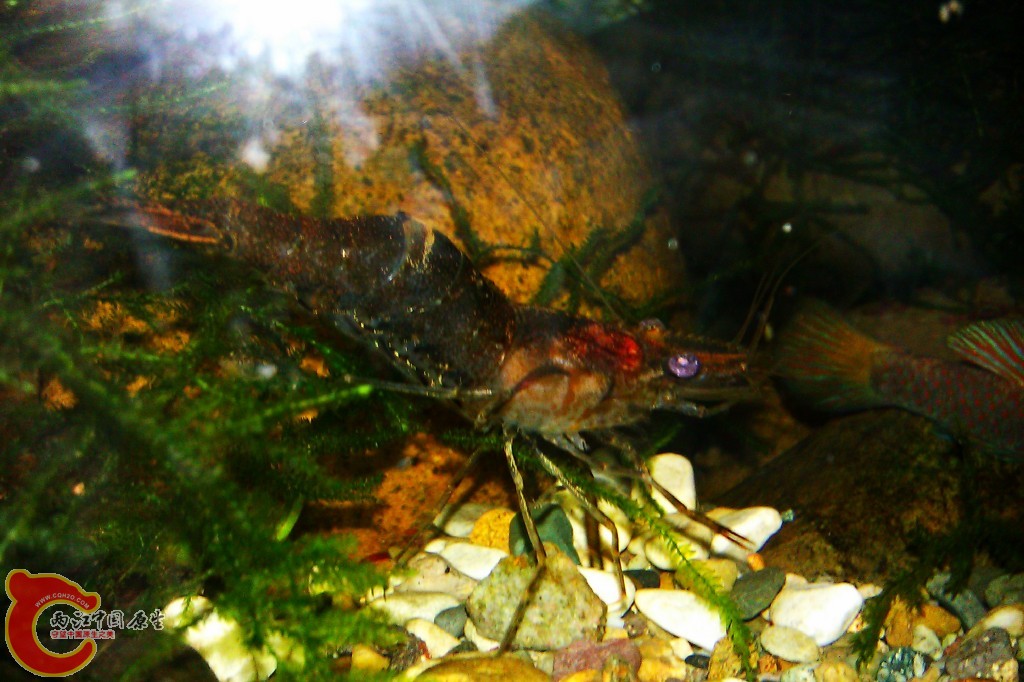 conew_imag0052.jpg