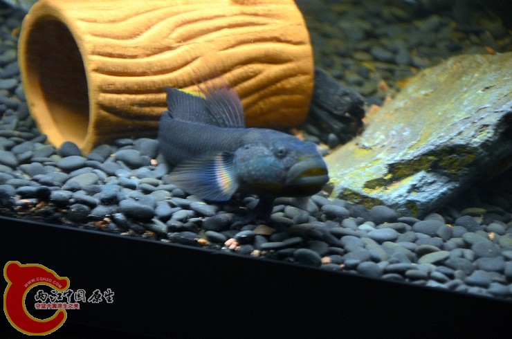 DSC_1380.jpg